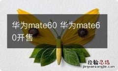 华为mate60 华为mate60开售