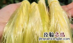 鲜玉米须怎么弄干保存 鲜玉米须怎么保存最好