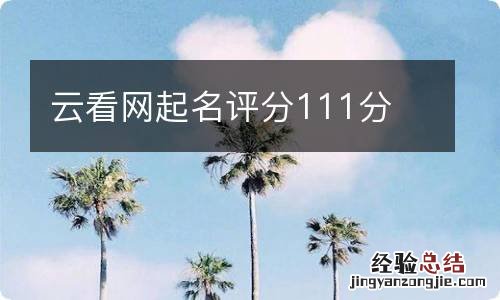 云看网起名评分111分