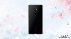 mate20什么屏幕