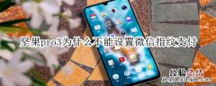 坚果pro3为什么不能设置微信指纹支付