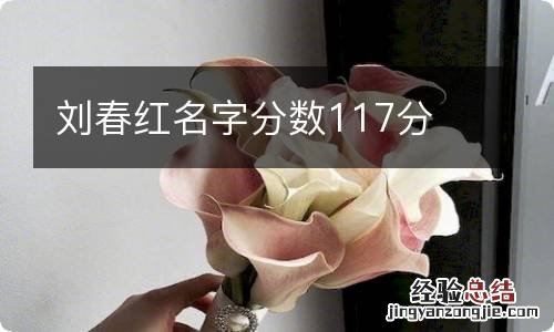 刘春红名字分数117分