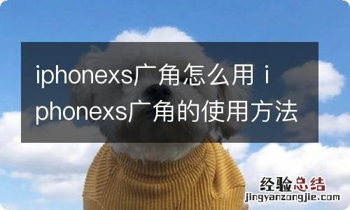 iphonexs广角怎么用 iphonexs广角的使用方法