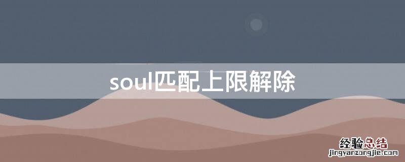 soul匹配上限解除