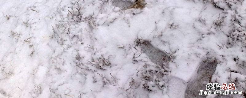 雪放在冰箱会融化吗