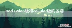 ipad wlan版和cellular版的区别