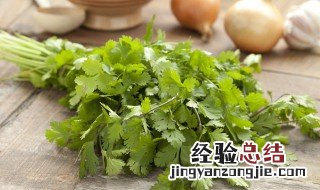 香菜可以放冰箱保存吗? 香菜可以放冰箱保存吗