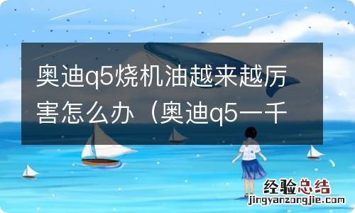 奥迪q5一千公里烧一升机油正常吗 奥迪q5烧机油越来越厉害怎么办