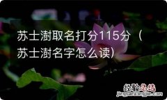 苏士澍名字怎么读 苏士澍取名打分115分