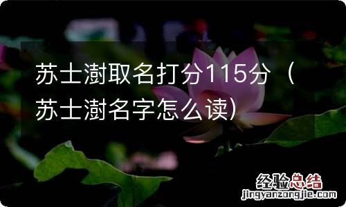 苏士澍名字怎么读 苏士澍取名打分115分