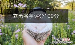 王立勇名字评分109分