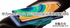 华为mate30pro 5G版可以自定义语音唤醒词吗