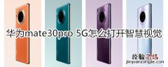 华为mate30pro 5G版怎么打开智慧视觉