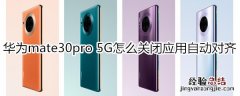 华为mate30pro 5G版怎么关闭应用自动对齐