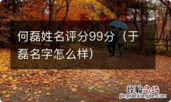 于磊名字怎么样 何磊姓名评分99分