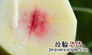 冬桃怎么保存 冬桃怎么保存到春节上市
