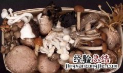 鲜蘑菇可以冻起来保存吗 鲜蘑菇可以冻起来保存吗能放多久