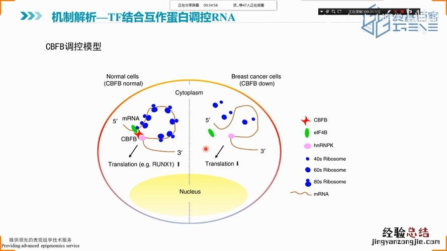 什么是转录组测序