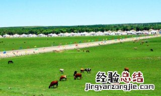 鄂尔多斯有草原吗 鄂尔多斯大草原在哪个地方