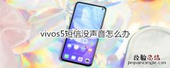 vivos5短信没声音怎么办