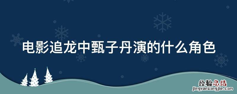 电影追龙中甄子丹演的什么角色