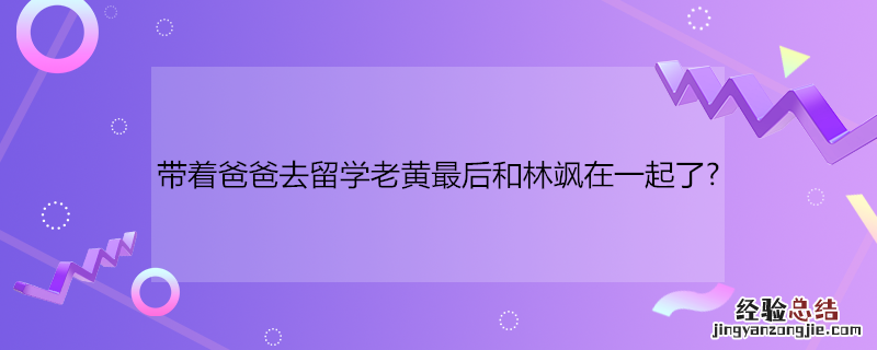 带着爸爸去留学老黄最后和林飒在一起了