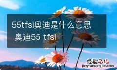 55tfsi奥迪是什么意思 奥迪55 tfsi