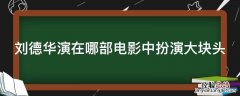 刘德华演在哪部电影中扮演大块头