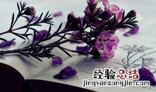 唯美诗意名字都有什么含义 唯美诗意名字都有什么