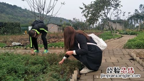 大学生寒假社会实践应该做些什么