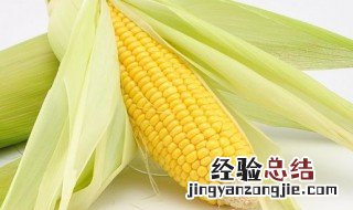 生玉米怎么保鲜 存放玉米的方法