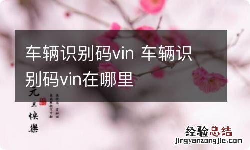 车辆识别码vin 车辆识别码vin在哪里