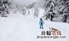 滑板和滑雪单板有什么区别 滑板和滑雪单板有什么区别呢