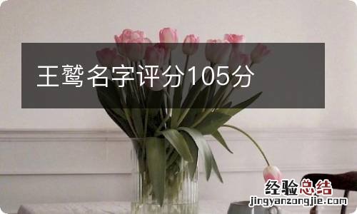 王鹫名字评分105分