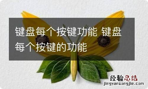 键盘每个按键功能 键盘每个按键的功能