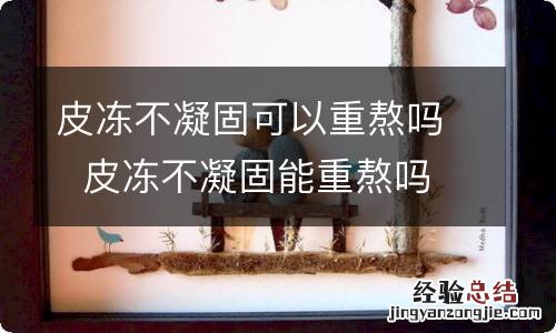 皮冻不凝固可以重熬吗皮冻不凝固能重熬吗