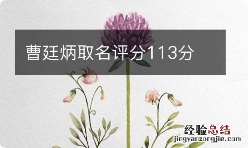 曹廷炳取名评分113分