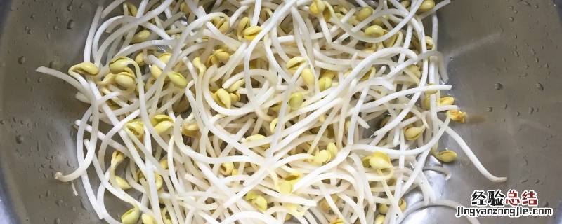 如何发黄豆芽又快又好