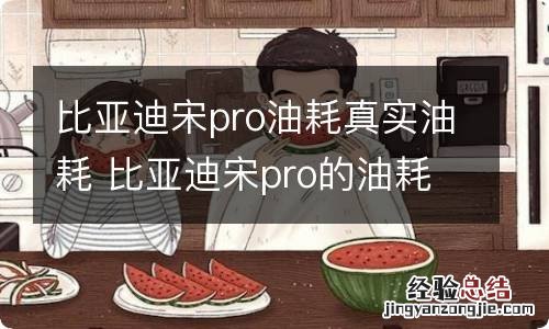 比亚迪宋pro油耗真实油耗 比亚迪宋pro的油耗到底怎样