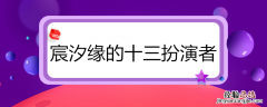 宸汐缘的十三扮演者