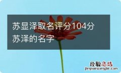 苏显泽取名评分104分 苏泽的名字