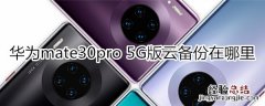 华为mate30pro 5G版怎么开启云备份