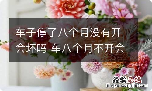 车子停了八个月没有开会坏吗 车八个月不开会坏吗