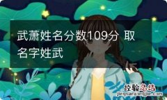 武萧姓名分数109分 取名字姓武