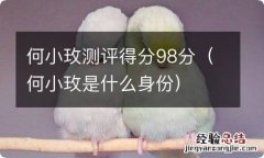 何小玫是什么身份 何小玫测评得分98分