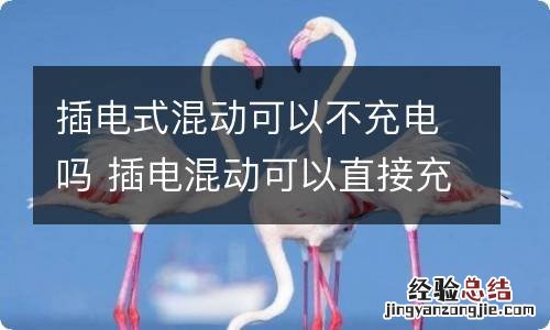 插电式混动可以不充电吗 插电混动可以直接充电吗
