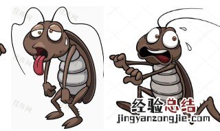 怎样灭蟑螂最有效 蟑螂的危害