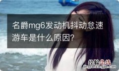 名爵mg6发动机抖动怠速游车是什么原因？