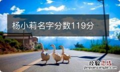 杨小莉名字分数119分