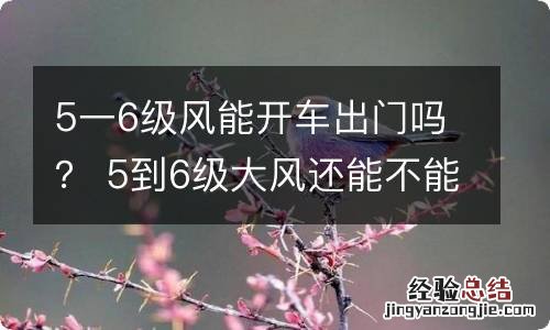 5一6级风能开车出门吗？ 5到6级大风还能不能出门